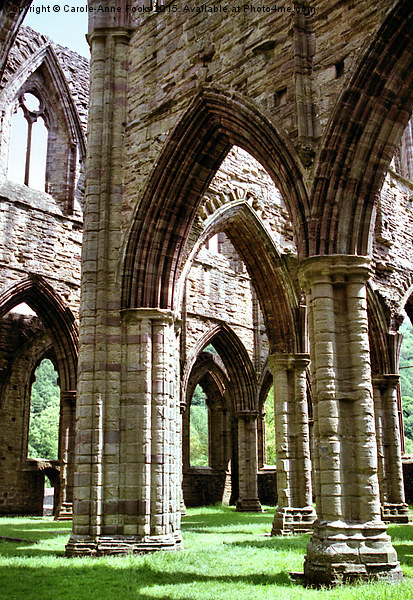 Tintern Abbey Cloisters Picture Board by Carole-Anne Fooks
