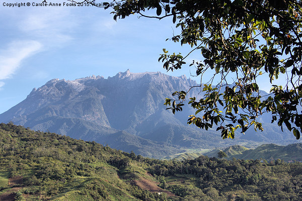  Mount Kinabalu, Sabah, Borneo Picture Board by Carole-Anne Fooks