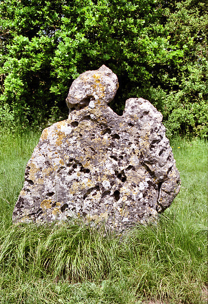  Rollright Stone Picture Board by Carole-Anne Fooks
