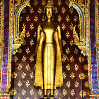 Buy canvas prints of Buddha Figure at Wat Po by Carole-Anne Fooks