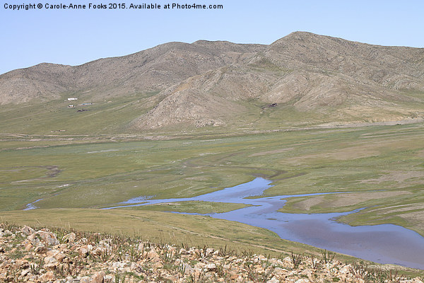  The River Kherlen, Mongolia Picture Board by Carole-Anne Fooks