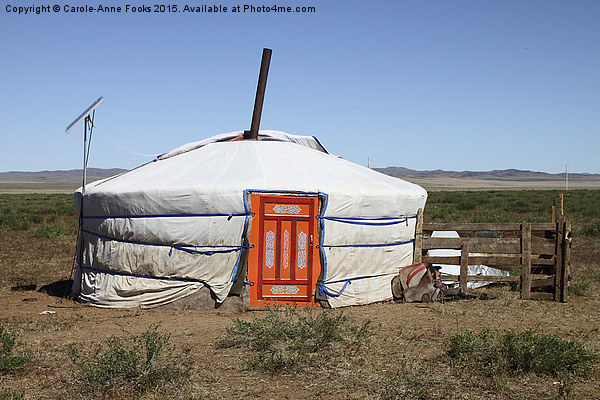  Nomads' House in the Gobi Desert, Mongolia Picture Board by Carole-Anne Fooks