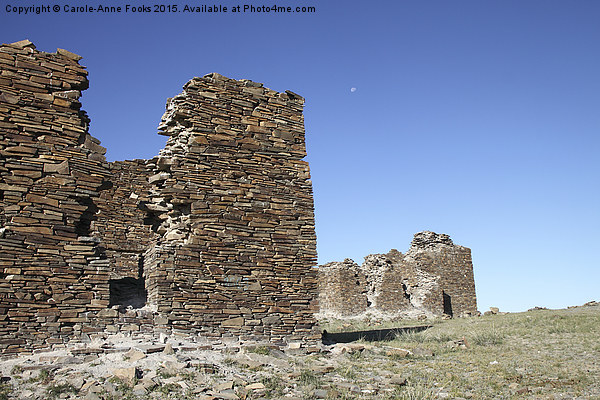  Fortress. Middle Gobi Mongolia Picture Board by Carole-Anne Fooks