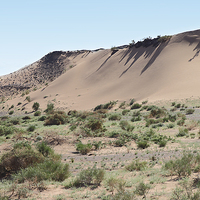 Buy canvas prints of  Southern Gobi Mongolia by Carole-Anne Fooks