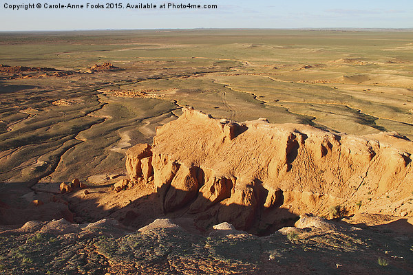  Southern Gobi Mongolia Picture Board by Carole-Anne Fooks