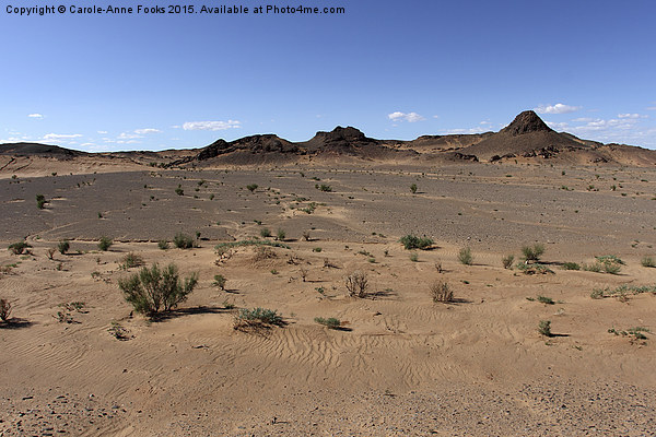  Southern Gobi Mongolia Picture Board by Carole-Anne Fooks