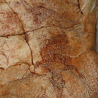 Buy canvas prints of Aboriginal Rock Art by Carole-Anne Fooks
