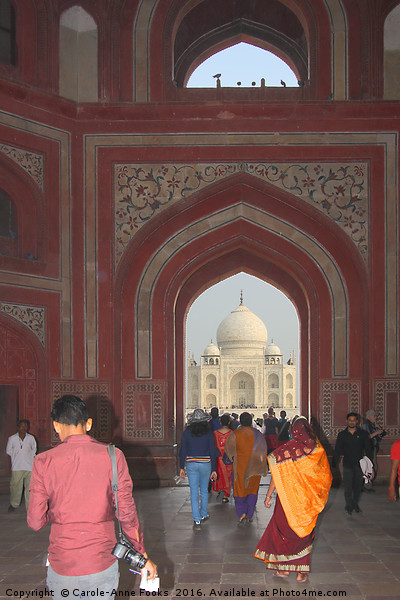 Taj Mahal Through The Gate Picture Board by Carole-Anne Fooks