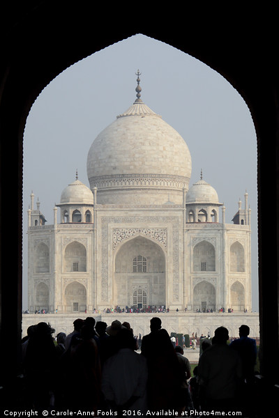 Taj Mahal Through The Gate Picture Board by Carole-Anne Fooks