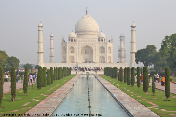 The Taj Mahal, Agra Picture Board by Carole-Anne Fooks