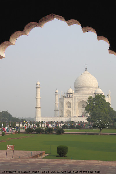 The Taj Mahal, Agra Picture Board by Carole-Anne Fooks