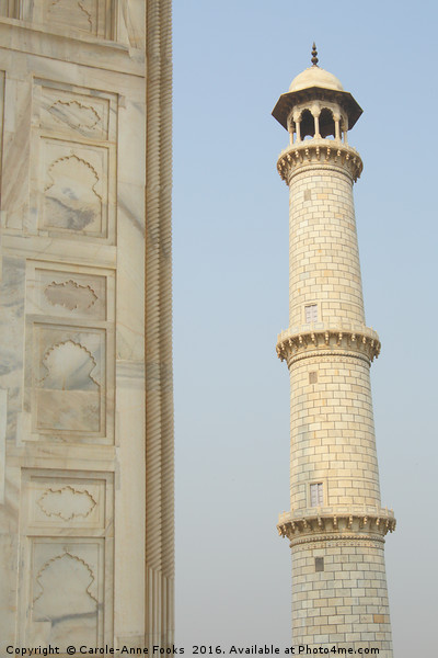 Taj Mahal Minaret Picture Board by Carole-Anne Fooks