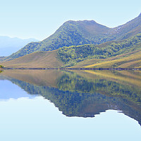 Buy canvas prints of Reflections at Melaleuca by Carole-Anne Fooks