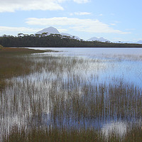 Buy canvas prints of Tasmania, Melaleuca Lagoon by Carole-Anne Fooks