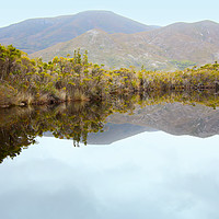 Buy canvas prints of Melaleuca Creek Tasmania by Carole-Anne Fooks