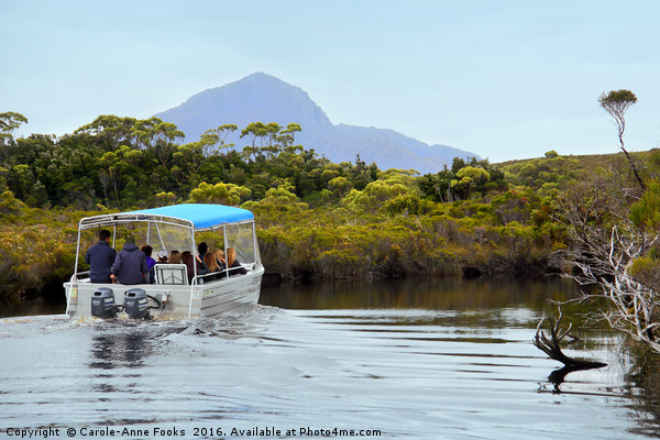 Boating on Melaleuca Creek, Tasmania. Picture Board by Carole-Anne Fooks