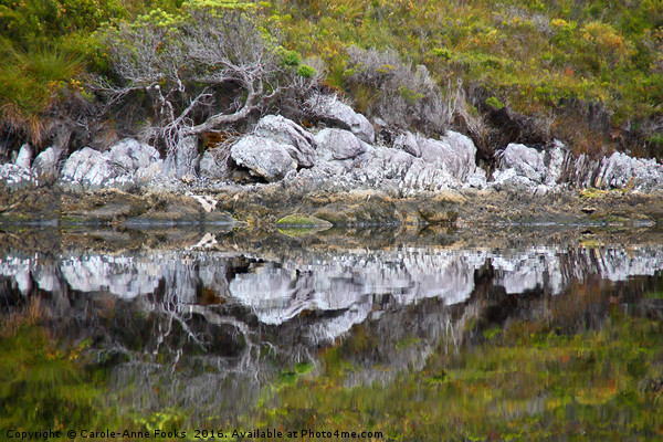 Reflections Along Melaleuca Creek Picture Board by Carole-Anne Fooks