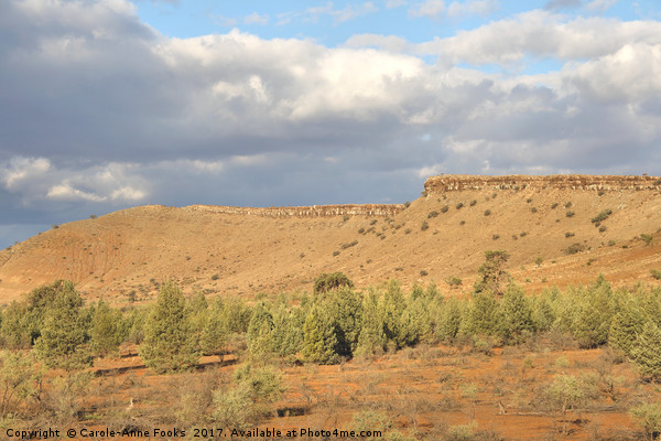 The Great Wall of China, Flinders Ranges Picture Board by Carole-Anne Fooks