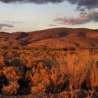 Buy canvas prints of Sunset on the Heysen Range, Flinders Ranges by Carole-Anne Fooks