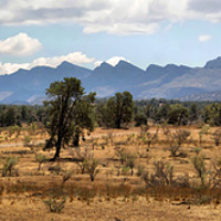 Buy canvas prints of Panorama of the Wilpena Pound, Flinders Ranges by Carole-Anne Fooks