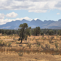 Buy canvas prints of Wilpena Pound, Flinders Ranges by Carole-Anne Fooks