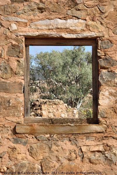 Kanyaka Homestead Ruins Picture Board by Carole-Anne Fooks