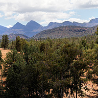 Buy canvas prints of Wilpena Pound, Flinders Ranges by Carole-Anne Fooks