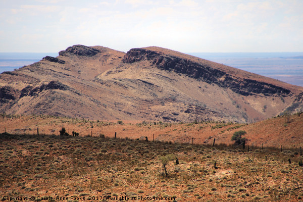 Mount Carnarvon, Flinders Ranges Picture Board by Carole-Anne Fooks