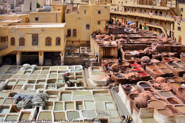 Leather Tannery Fes, Morocco Picture Board by Carole-Anne Fooks