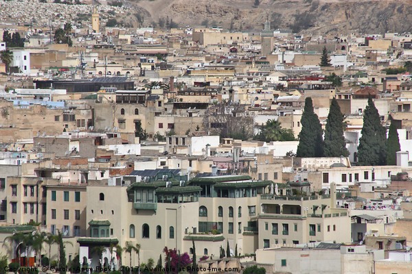 Medina of Fes Picture Board by Carole-Anne Fooks