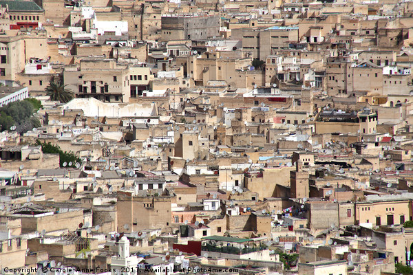 The Medina, Fes Picture Board by Carole-Anne Fooks