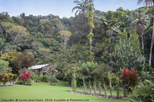 Botanical Gardens Picture Board by Carole-Anne Fooks