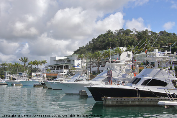 The Harbour at Quepos Picture Board by Carole-Anne Fooks