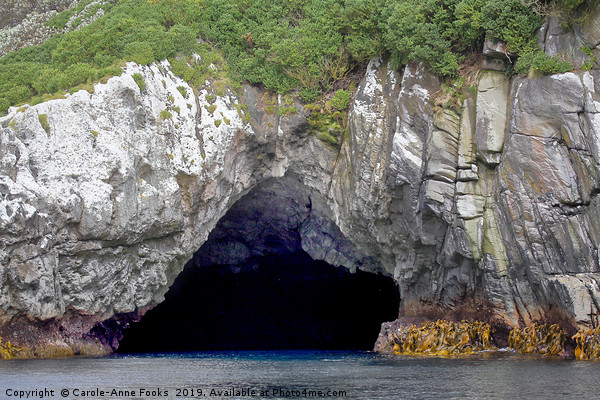 The Snares Sea Cave Picture Board by Carole-Anne Fooks