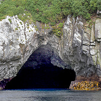 Buy canvas prints of The Snares Sea Cave by Carole-Anne Fooks