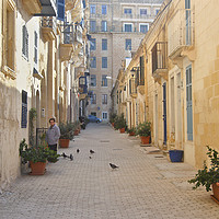 Buy canvas prints of Old Street, Valletta, Malta by Carole-Anne Fooks