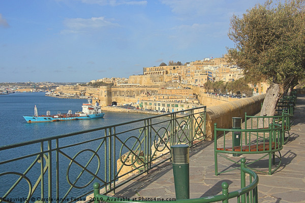 Grand Harbour, Valletta, Malta  Picture Board by Carole-Anne Fooks