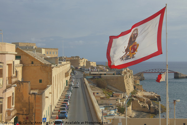 Valletta, Malta Picture Board by Carole-Anne Fooks