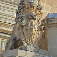 Buy canvas prints of Rampant Lion with Shield, Valletta, Malta by Carole-Anne Fooks