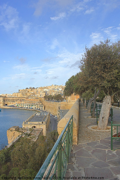 Grand Harbour, Valletta, Malta  Picture Board by Carole-Anne Fooks