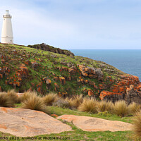 Buy canvas prints of Cape Willoughby Lighthouse by Carole-Anne Fooks