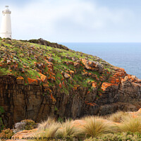 Buy canvas prints of Cape Willoughby Lighthouse  by Carole-Anne Fooks
