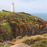 Buy canvas prints of Cape Willoughby Lighthouse by Carole-Anne Fooks