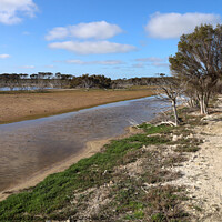 Buy canvas prints of Murray Lagoon  by Carole-Anne Fooks