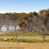 Buy canvas prints of Murray Lagoon  by Carole-Anne Fooks