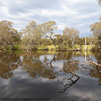 Buy canvas prints of Duck Lagoon by Carole-Anne Fooks