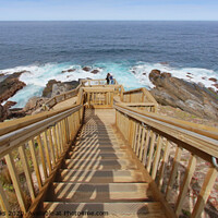 Buy canvas prints of The Boardwalk and Steps at Cape du Couedic by Carole-Anne Fooks
