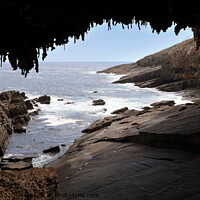 Buy canvas prints of Admirals Arch at Cape du Couedic by Carole-Anne Fooks