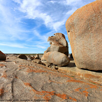 Buy canvas prints of Kangaroo Island by Carole-Anne Fooks