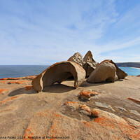 Buy canvas prints of Remarkable Rocks by Carole-Anne Fooks